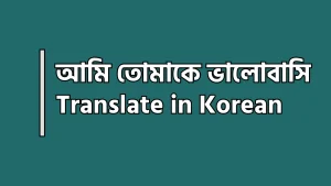 আমি তোমাকে ভালোবাসি Translate in Korean